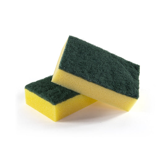 Basics Sponge Scourer (10 Pack)